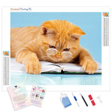 Clever Cat | Diamond Painting Kit - Full Drill - Square or Round Diamonds with AB Drills Option