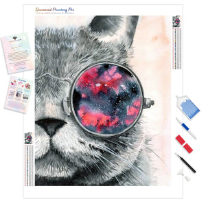 Cool Cat | Diamond Painting