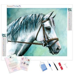 Gray Horse | Diamond Painting