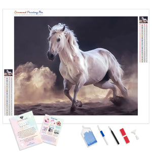 White Horse Raising Dust | Diamond Painting