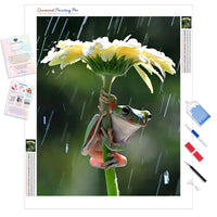 Frog on a Flower in The Rain | Diamond Painting