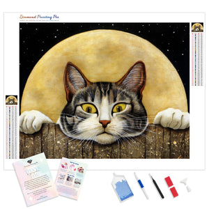 Funny Cat | Diamond Painting