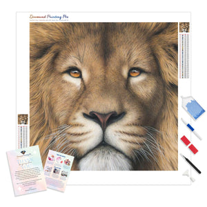 Cartoon Lion Face | Diamond Painting