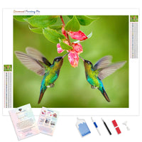 Colored Hummingbird | Diamond Painting