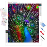 Be a Peacock | Diamond Painting Kit - Full Drill - Square or Round Diamonds with AB Drills Option