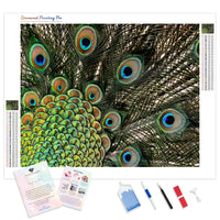 Peacock Feathers | Diamond Painting