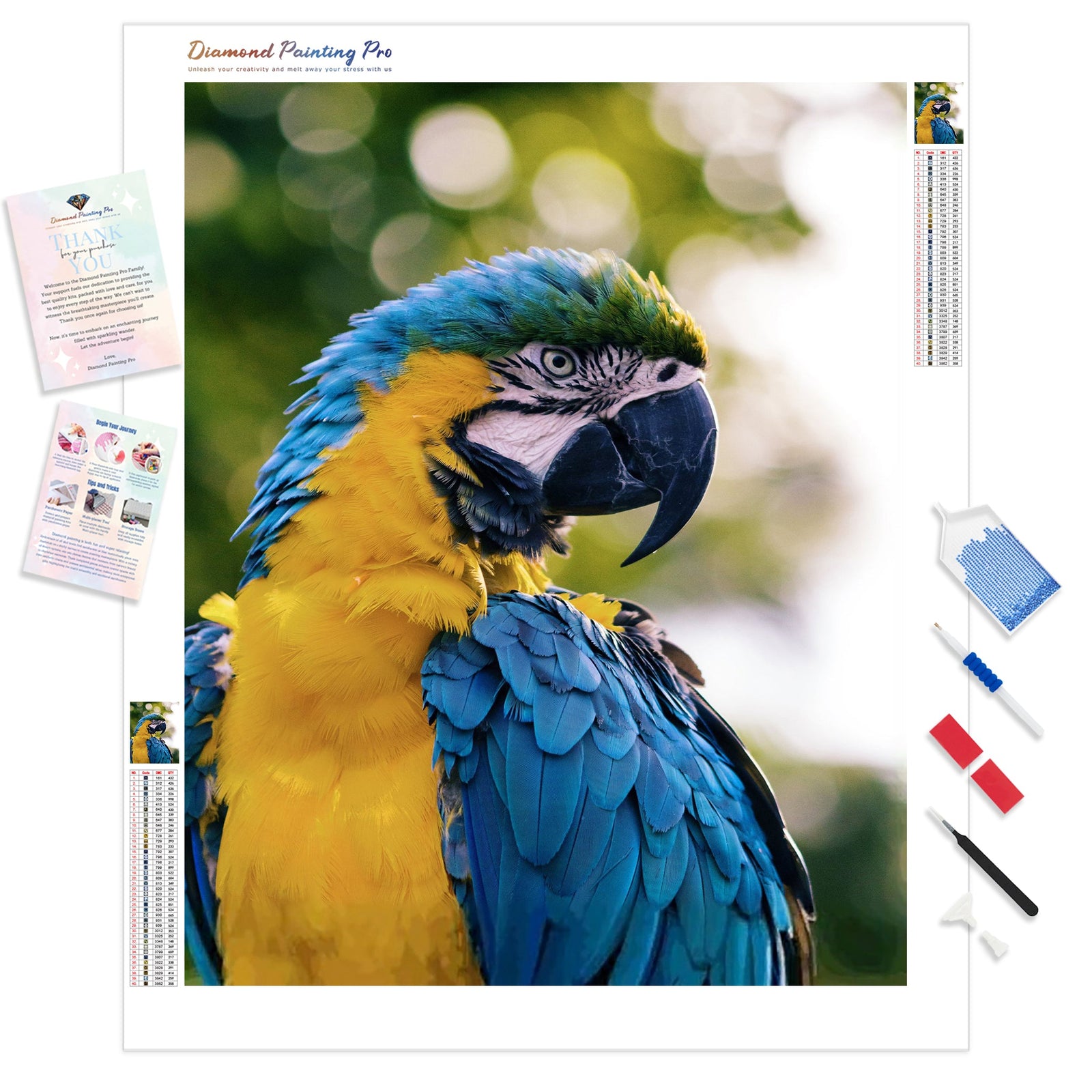 Blue & Gold Macaw | Diamond Painting Kit - Full Drill - Square or Round Diamonds with AB Drills Option