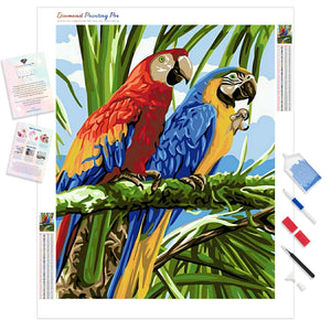 Parrot Couple | Diamond Painting