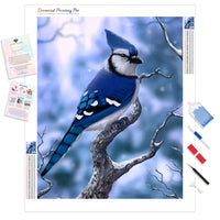 Bird Blue Jay | Diamond Painting