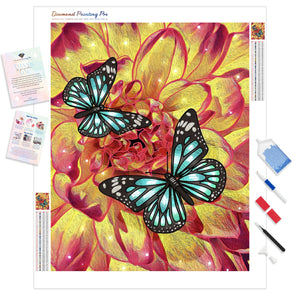 Butterfly Duo | Diamond Painting