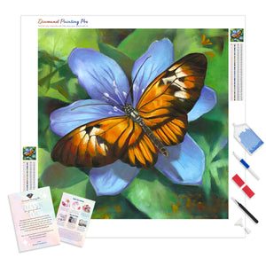 Butterfly | Diamond Painting