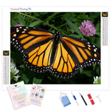 Wings of Gold and Magic | Diamond Painting Kit - Full Drill - Square or Round Diamonds with AB Drills Option