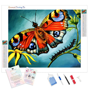 Peacock Butterfly | Diamond Painting