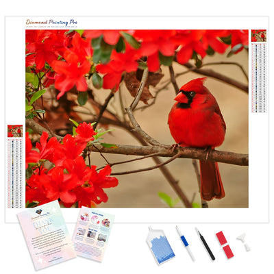 Cardinal bird standing on a tree branch | Diamond Painting