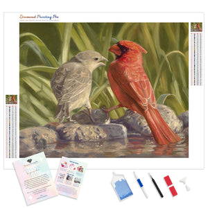 Cardinal Couple | Diamond Painting