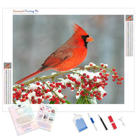 Cardinal in winter | Diamond Painting