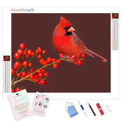 Northern cardinal | Diamond Painting