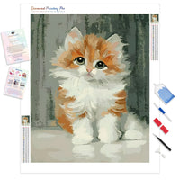 Adorable Sad Kitty | Diamond Painting
