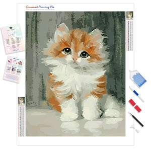 Adorable Sad Kitty | Diamond Painting