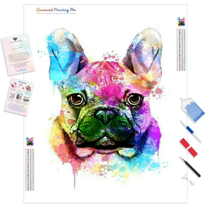 Colorful French Bulldog | Diamond Painting