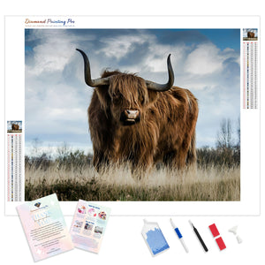 Highland Cow Bull | Diamond Painting