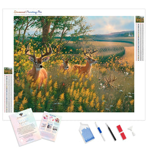 Deer in Field | Diamond Painting