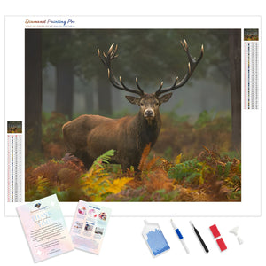 Wild Deer | Diamond Painting