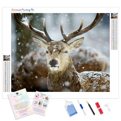 Winter Deer | Diamond Painting Kit - Full Drill - Square or Round Diamonds with AB Drills Option