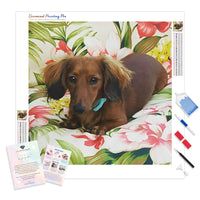 Dachshund Floral Dog | Diamond Painting
