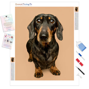 Dachshund Puppy Portrait | Diamond Painting