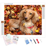 Dog in Autumn | Diamond Painting Kit - Full Drill - Square or Round Diamonds with AB Drills Option
