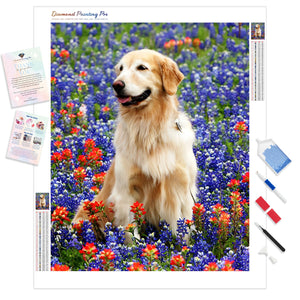 Golden Retriever Floral | Diamond Painting