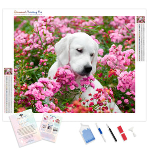 Labrador Retriever Flower | Diamond Painting