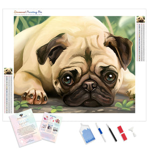 Pug Portrait | Diamond Painting