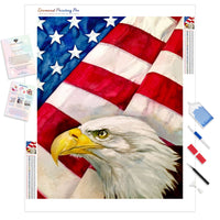 The Eagle and the Flag | Diamond Painting