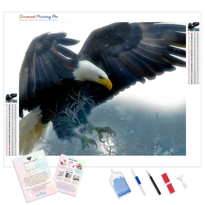 Arctic Eagle | Diamond Painting