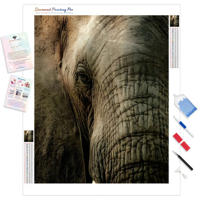 Wrinkly Face | Diamond Painting Kit - Full Drill - Square or Round Diamonds with AB Drills Option