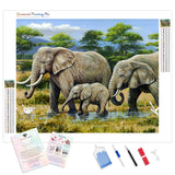 African Safari | Diamond Painting Kit - Full Drill - Square or Round Diamonds with AB Drills Option