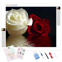 Red & White Roses Reflection | Diamond Painting