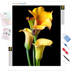 Four Calla Lilies | Diamond Painting