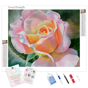 Pink and Peach Rose Bud | Diamond Painting