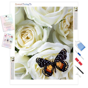 Speckled Butterfly on White Rose | Diamond Painting