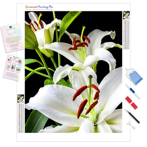 Three White Lilies | Diamond Painting