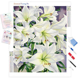 White Lilies | Diamond Painting Kit - Full Drill - Square or Round Diamonds with AB Drills Option