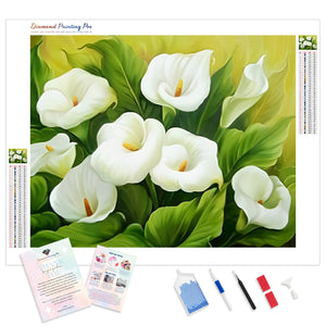 White Calla Lily | Diamond Painting