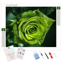 Green Rose | Diamond Painting