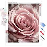 Pink Rose | Diamond Painting