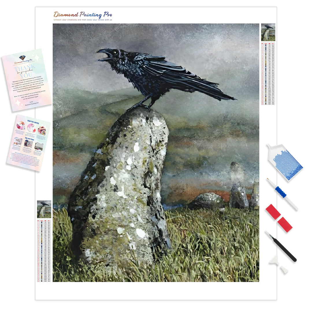 Crow on the Rock | Diamond Painting