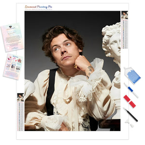 Harry Styles - The Star | Diamond Painting