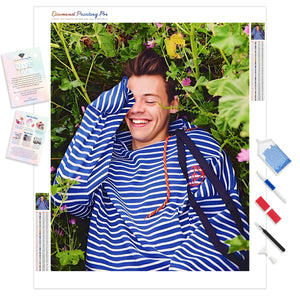 Harry Styles Blue Striped Sweater | Diamond Painting